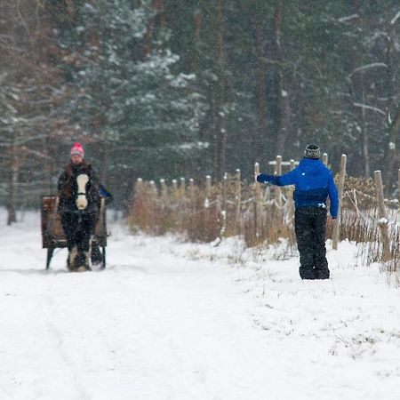 Kolorowe Wzgorze Agroturystyka I Konie Trojanow Kültér fotó