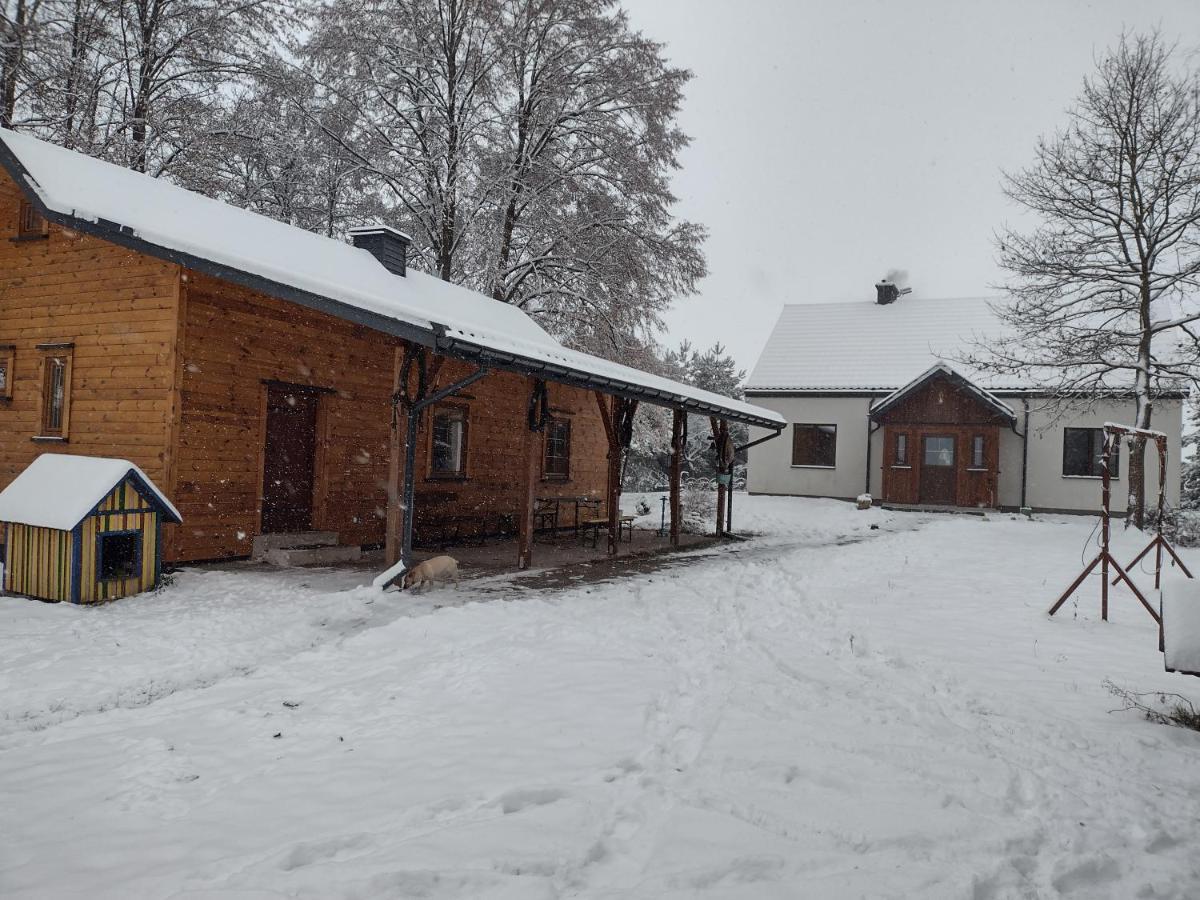 Kolorowe Wzgorze Agroturystyka I Konie Trojanow Kültér fotó