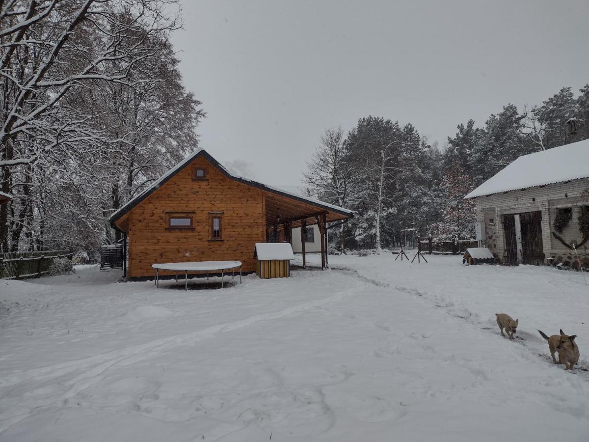 Kolorowe Wzgorze Agroturystyka I Konie Trojanow Kültér fotó