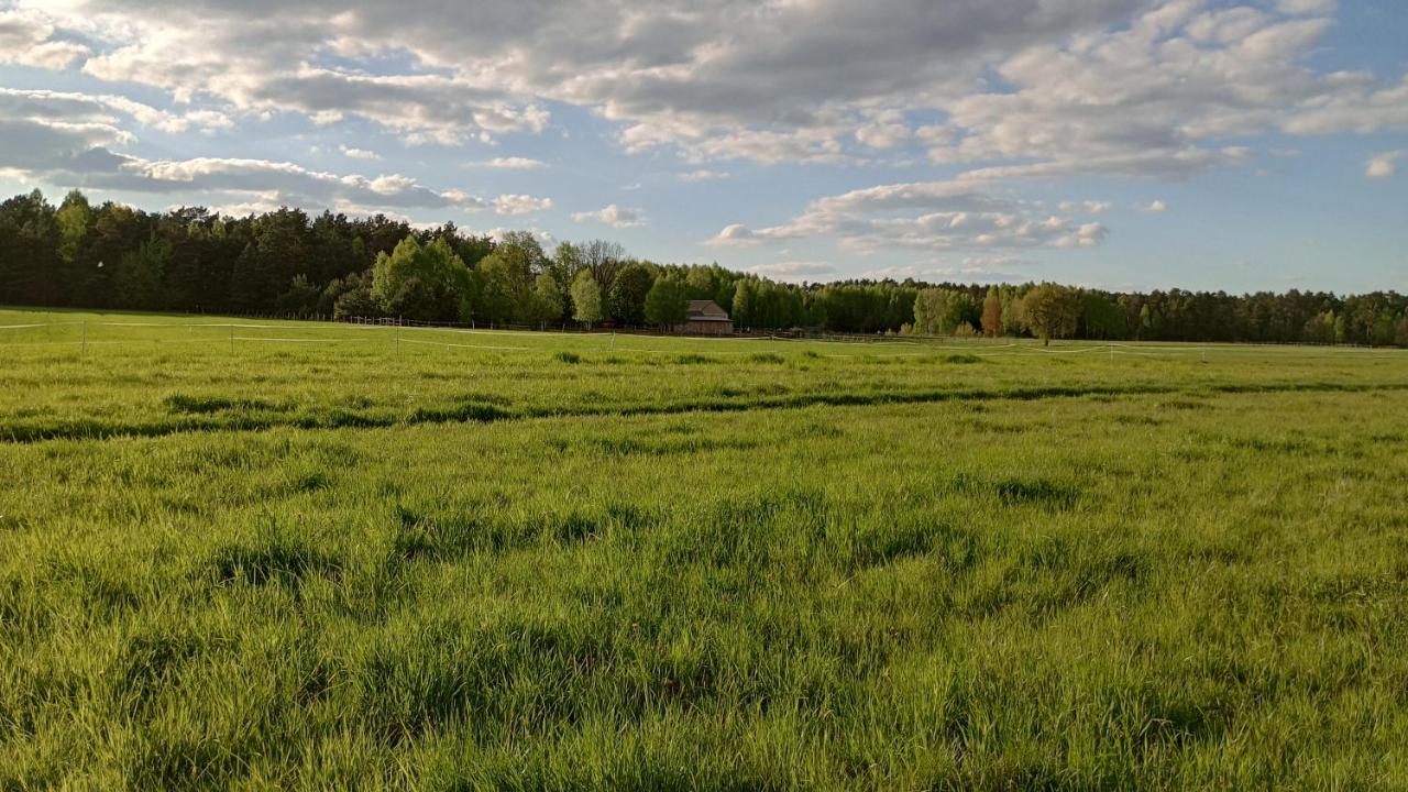 Kolorowe Wzgorze Agroturystyka I Konie Trojanow Kültér fotó