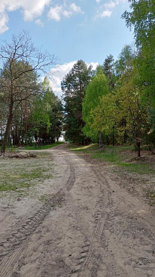 Kolorowe Wzgorze Agroturystyka I Konie Trojanow Kültér fotó